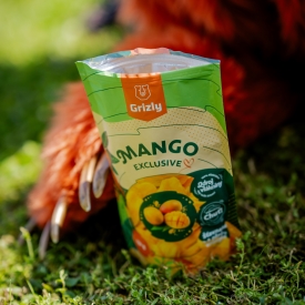 Mango exclusive